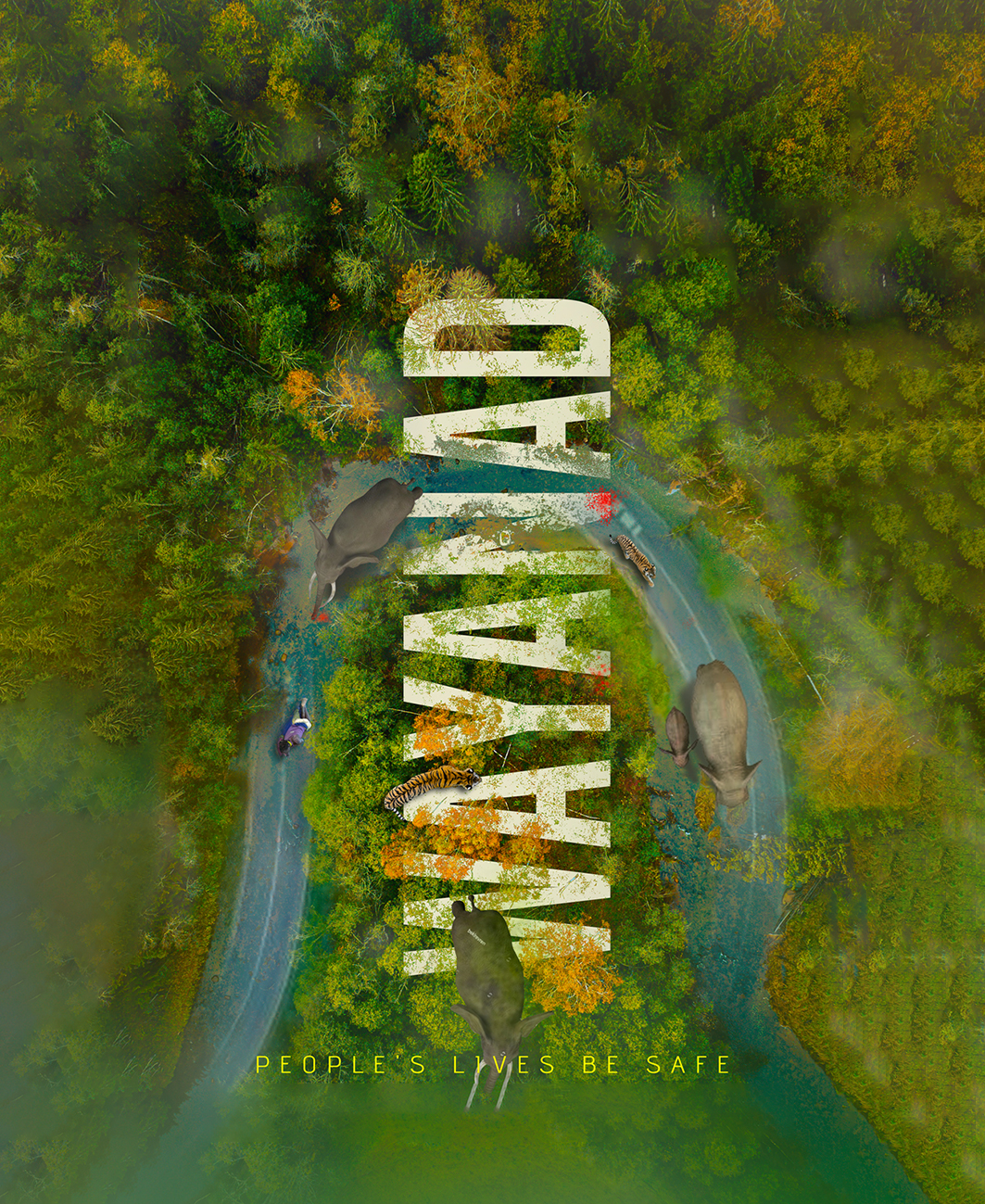 A vertical top view of a curly flowing river through a dense forest on an autumn day